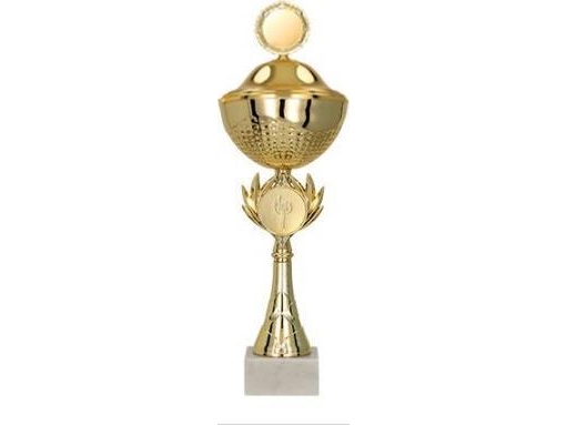 Victoria Sport metallpokal med lock | Sport & Träning - Sportutrustning - Troféer | GameStuff