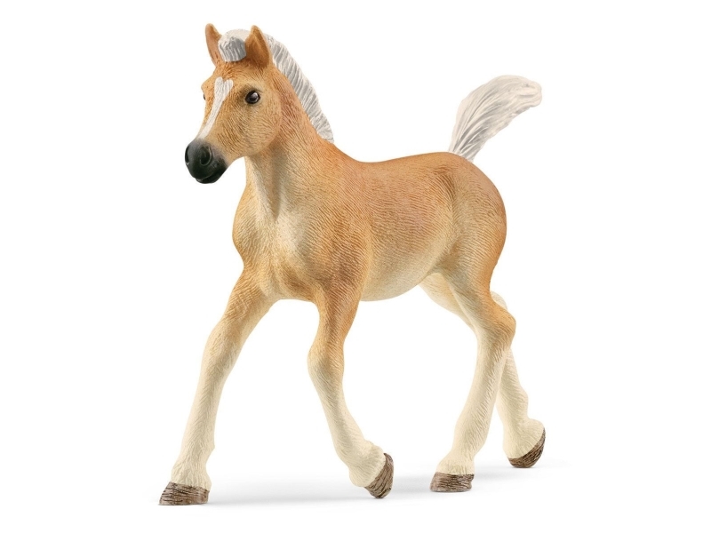 Schleich Haflinger föl | Andra leksaksmärken - Krypning | GameStuff