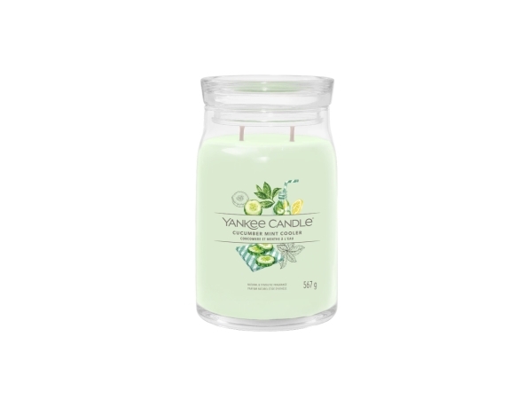 Yankee Candle Cucumber Mint Cooler, Cylinder, Grøn, Citrus, 90 T, 1 Stk