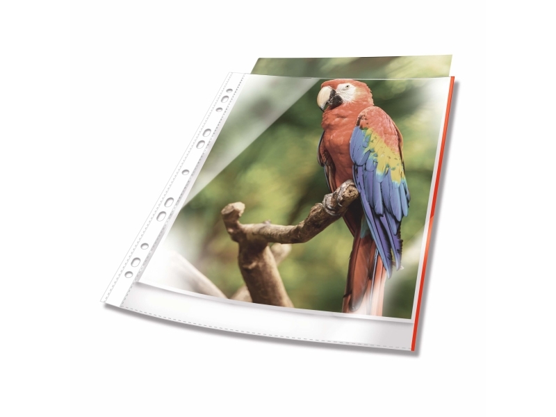 Durable 265403, A4, Rød, Transparent, Polypropylen (PP), 0,08 mm, 230 mm, 305 mm