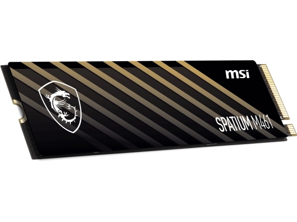 Msi S78-440L1d0-P83, 1000 Gb, M.2, 5000 Mb/S