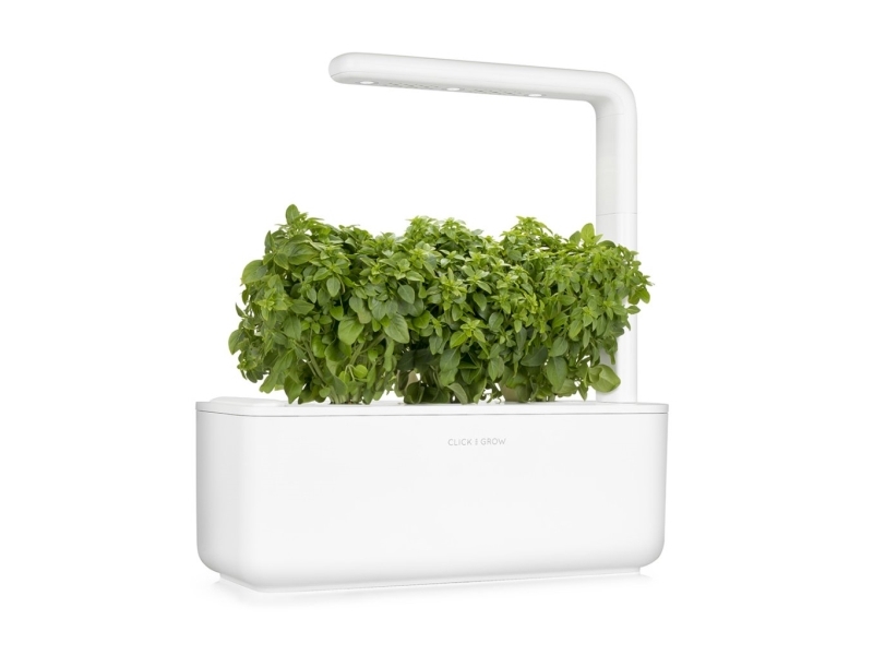 Click &amp Grow Smart Garden refill Dwarf Basil 3pcs | Trädgården - Jord & Växter - Frön & lök | GameStuff