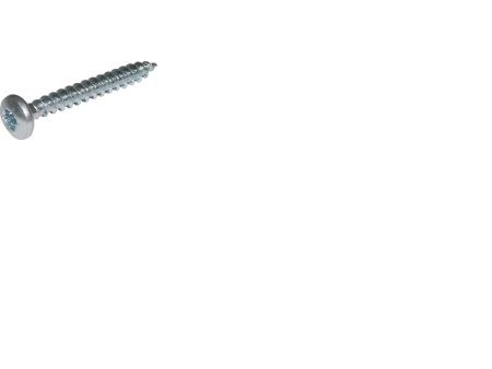 Dresselhaus Spunskrue 4 0x20 Mm Panhoved Torx  20 Kærv Elforzinket 100 Stk.