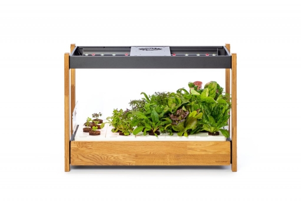 Click And Grow Click And Grow 25 - Dark