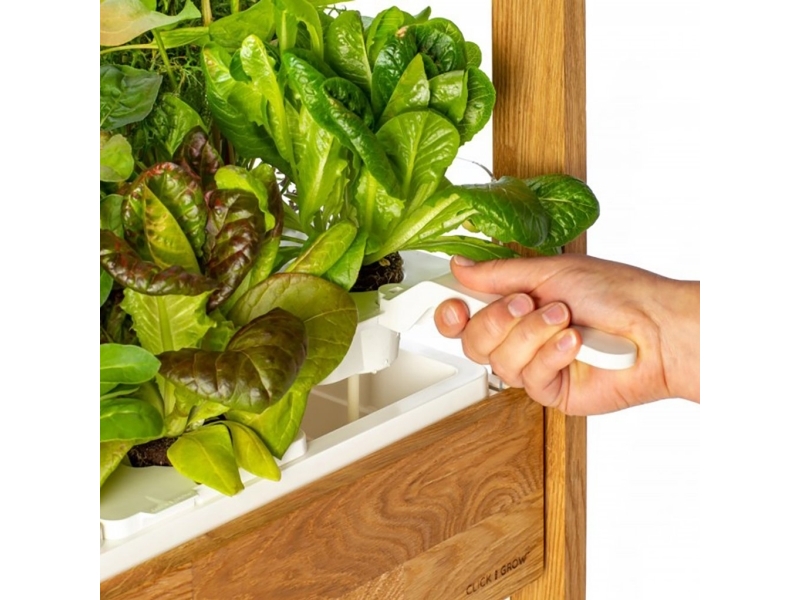 Click and Grow Smart Indoor Garden 25 - Dark | Belysning - Intelligent belysning (Smart Home) - Smarta kontakter | GameStuff