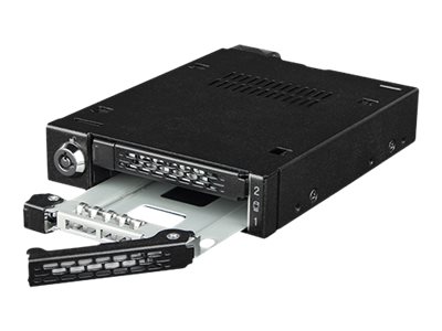 Icy Dock Wechselrahmen 2Xu.2/U.3 Nvmessd F.Pcie 4.0