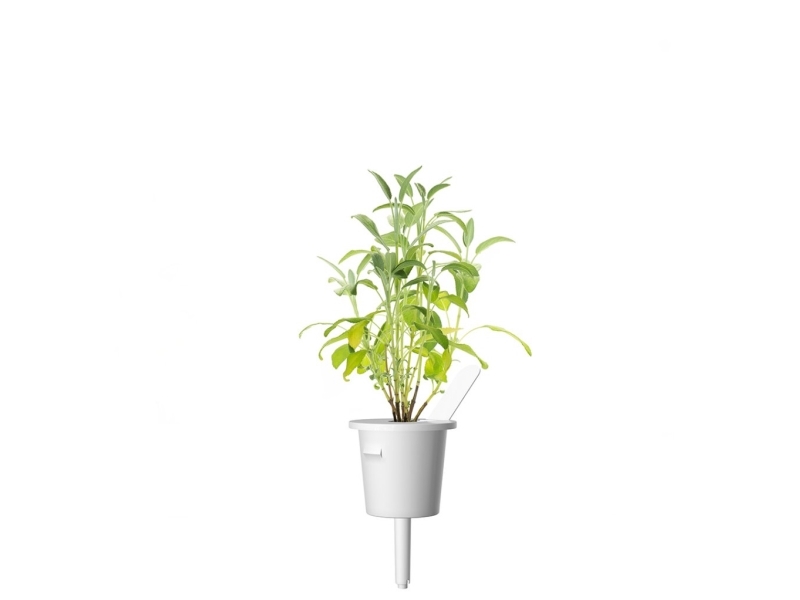Click & Grow Plant Pods 3-pack - Garden Sage | Ventilation & Klimat - Ventilation - Bords fläkt | GameStuff