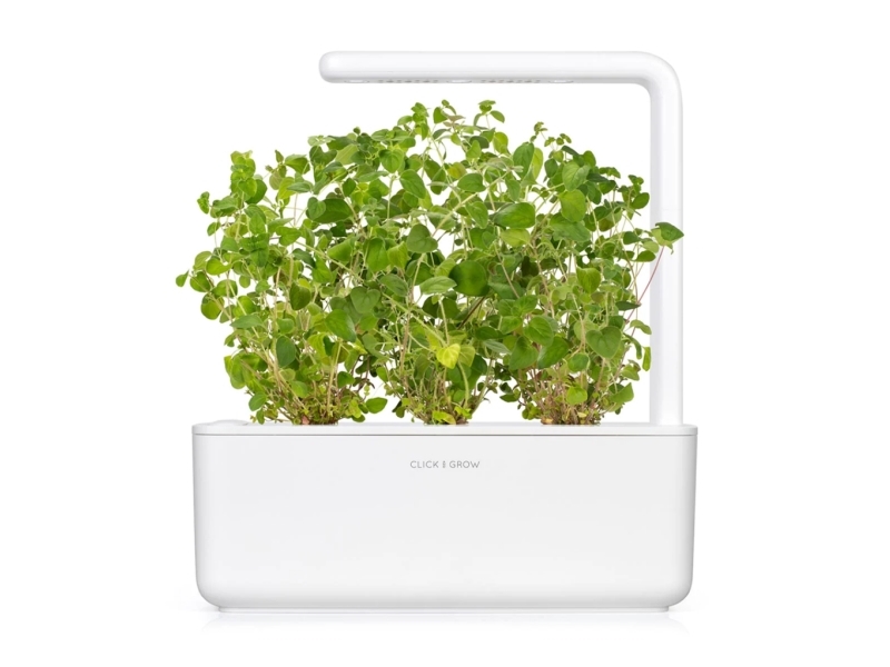 Click & Grow Click and Grow - Smart Garden Refill 3-pack Oregano