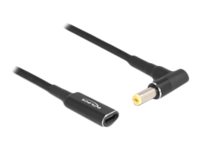 Delock - Stikadapter - Usb-C (Kun Strøm) (Hun) Til Dc Jackstik 5,5 X 1,7 Mm (Han) Vinklet - 19.5 V - 3 A - 15 M - Sort