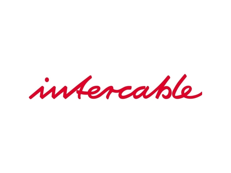 Intercable Intercable Tools 101900 Reversibel Skralde 197 Mm