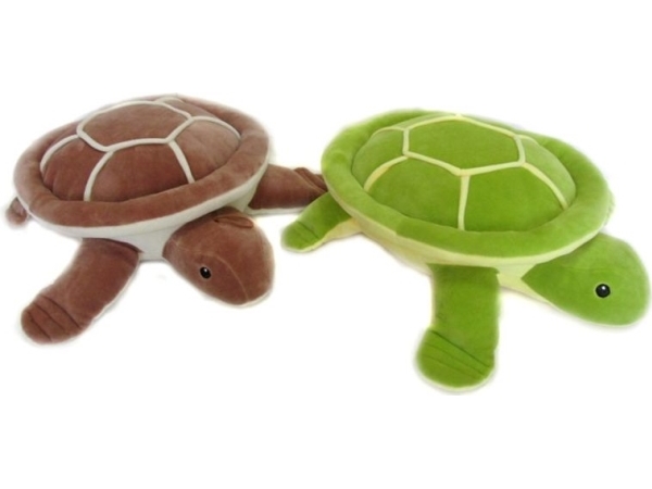 Turtle 2Col 25Cm 147608