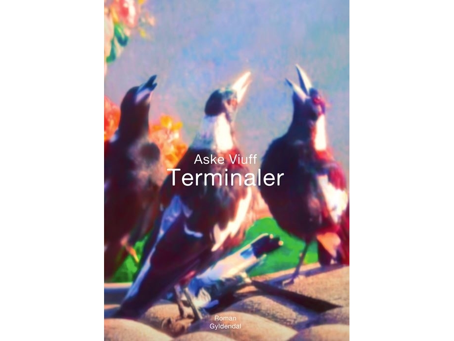 Terminals | Aske Viuff | Sprache: Dänish