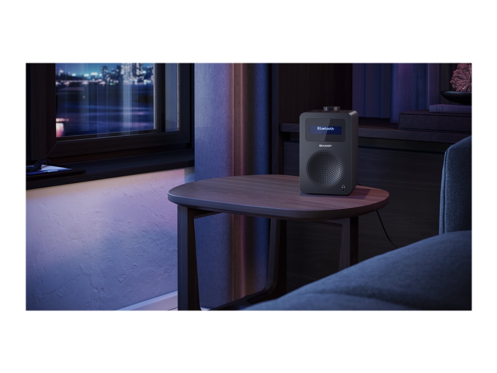 Sharp DR-430, Henkilökohtainen, Digitaalinen, DAB, DAB+, FM, 5 W, AAC, LCD
