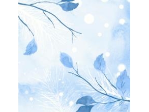 Serviet Dunisoft Airlaid 40x40cm Frosted Winter,60 stk/pk | Rengöring - Rengöringsprodukter - Rengöringsmaskiner - Utrustning - Skrapor & Kvastar | GameStuff