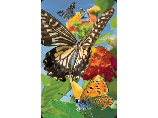 Worth-Keeping 3D Butterfly Mini Card