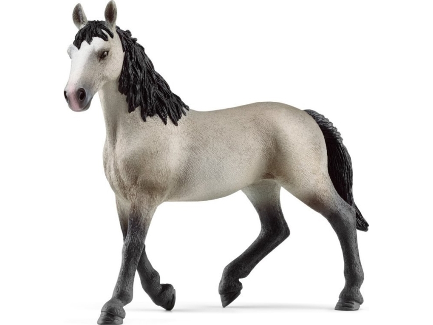 Schleich Horse Club 13955 5 År Svart Grå