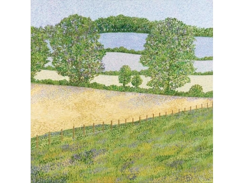 Susan Entwistle Carnet Mit Umschlag Beeches