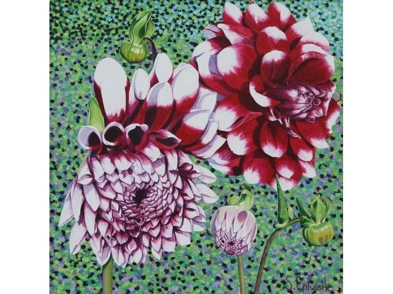 Susan Entwistle Garden Dahlia-Kort Med Konvolut