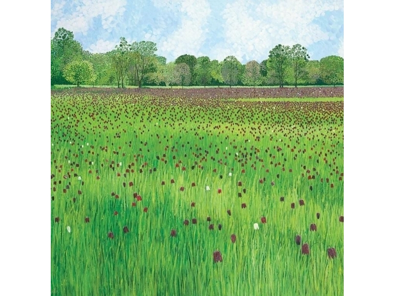 Susan Entwistle Karte Mit Umschlag Schachbrett-Wiese