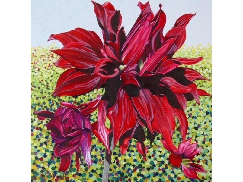 Susan Entwistle Karte Mit Umschlag Schwarze Dahlie