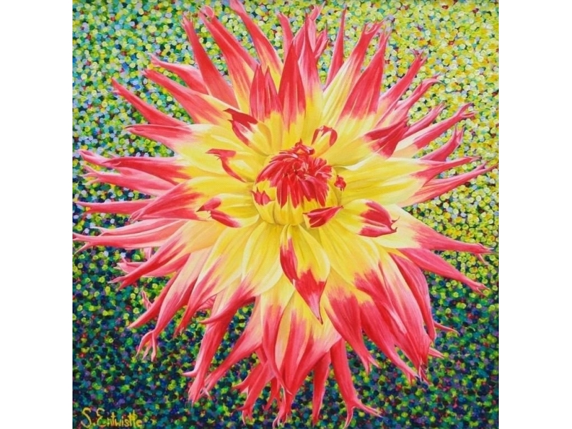 Susan Entwistle Carnet Mit Umschlag Cactus Dahlia