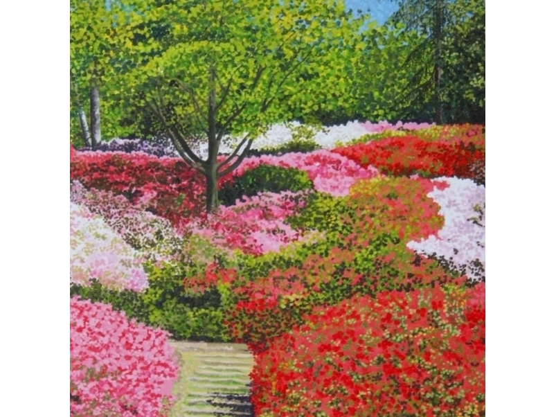 Susan Entwistle Karte Mit Umschlag Azalea Clombs Ii