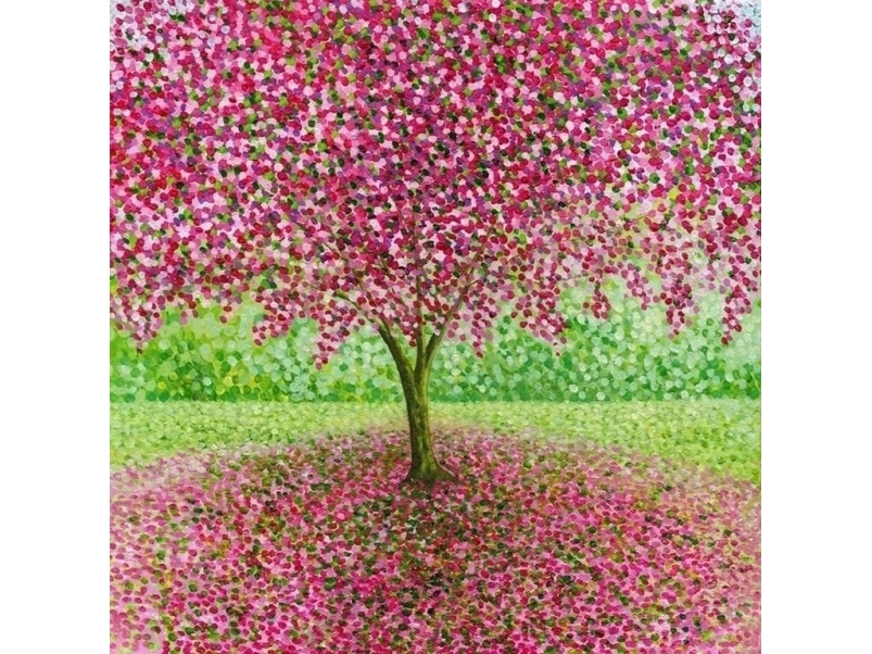 Karte Mit Umschlag Frühlingsblume