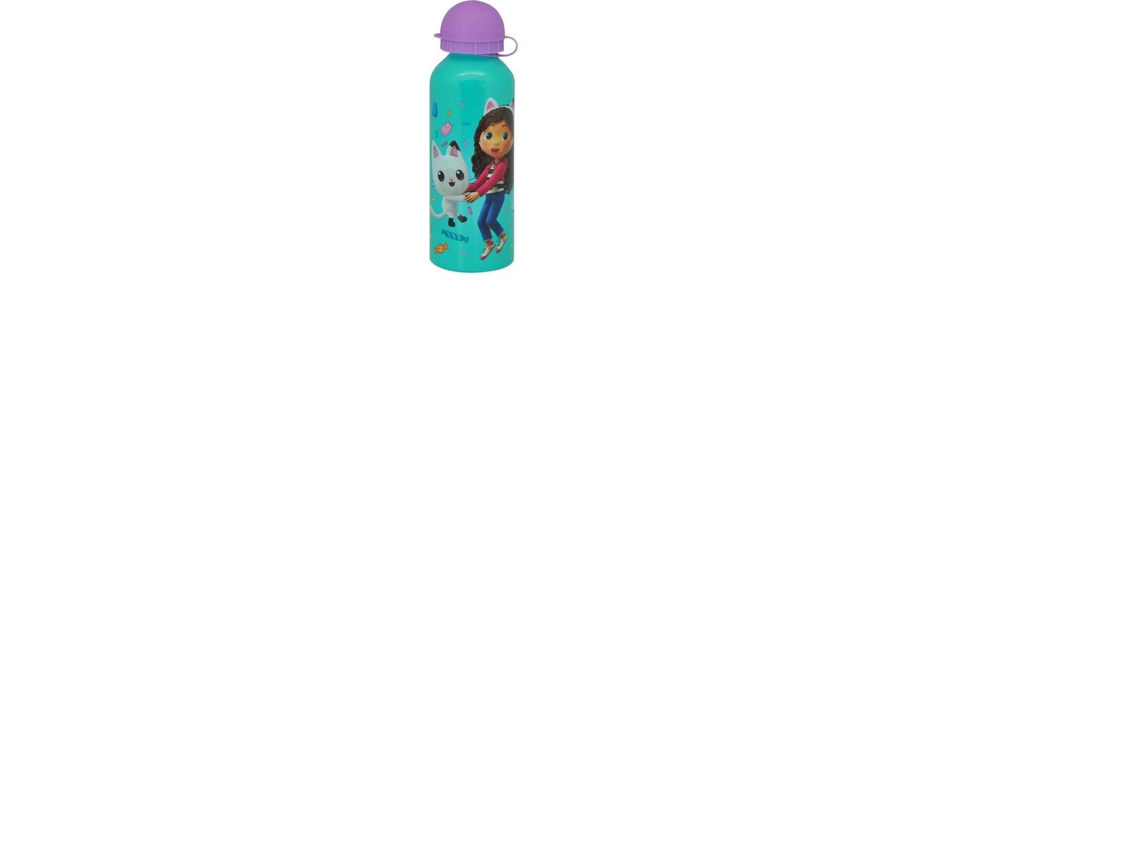 Gabby's Dollhouse Water Bottle, Aluminum 500Ml