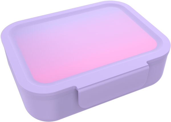 Lunch Buddies Pink Regnbue Madkasse M Skillerum