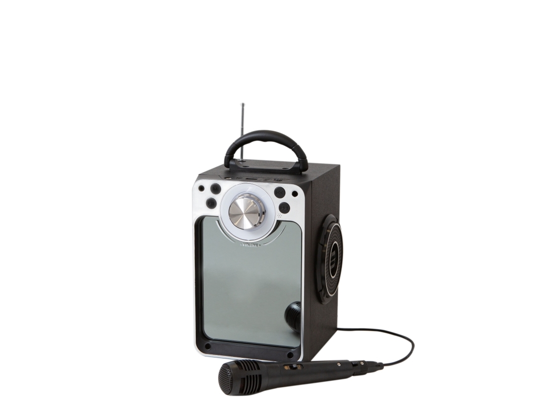Karaoke Machine W/Bluetooth - Black - Disco Led Light