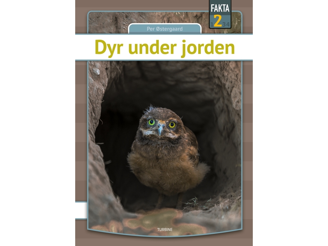 Dyr Under Jorden | Per Østergaard