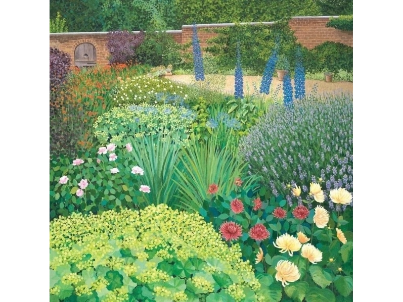 Susan Entwistle Karte Mit Umschlag Der Garten Hinter Dem Haus