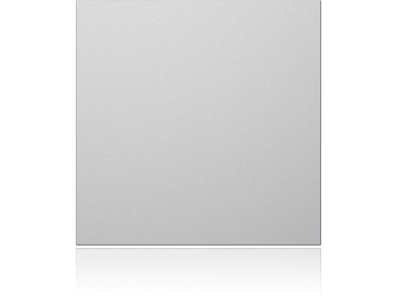 Schneider Electric Gmbh Portier Blindmodul Si 95X95x33mm 1 8766/20 (1876620)