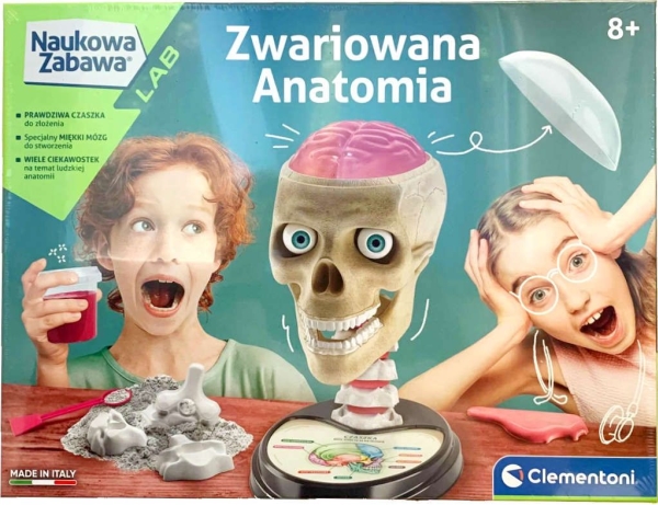 Cle Science Fun.Crazy Anatomy 50697