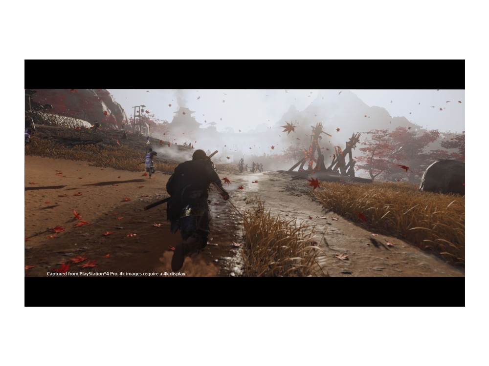 Ghost of Tsushima Directors Cut - PlayStation 5 | Spel - Spel - Playstation 5 | GameStuff