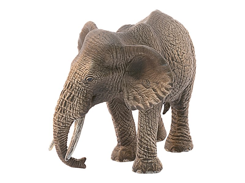 Schleich African Elephant Female