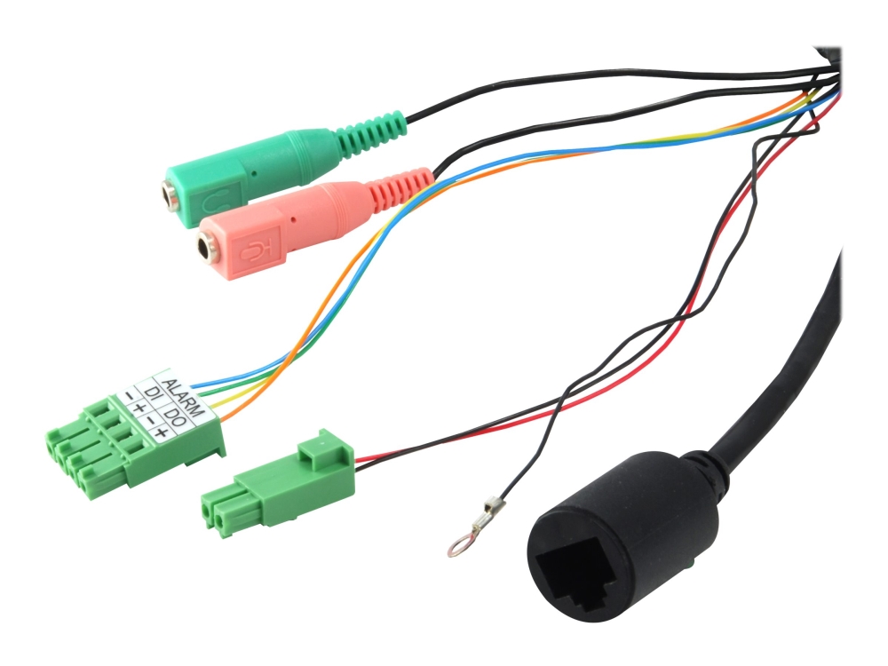 LevelOne FCS-3095 - Panoramakamera - kuppel - vejrbestandig - farve (Dag/nat) - 12 MP - 4000 x 3000 - 720p, 1080p - M12 montering - fast brændvidde - audio - GbE - MJPEG, H.264 - DC 12 V / PoE