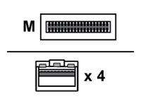 Lenovo Breakout - 100Gbase-Cu Direktanschlusskabel - Qsfp28 Auf Sfp28 - 1 M - Für Thinksystem Ne10032, Ne2572, Ne2580o Thinksystem Sd630 V2 Sr250