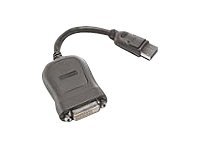 Lenovo - Dvi-Adapter - Enkeltlink - Displayport (Han) Til Dvi-D (Hun) - 20 Cm