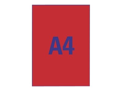 Avery L6005-25, Rot, Abgerundetes Rechteck, Entfernbar, A4, Papier, Universal