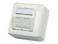 Telegärtner Emj45 - Faceplate - Alpinhvid - 2-Gang