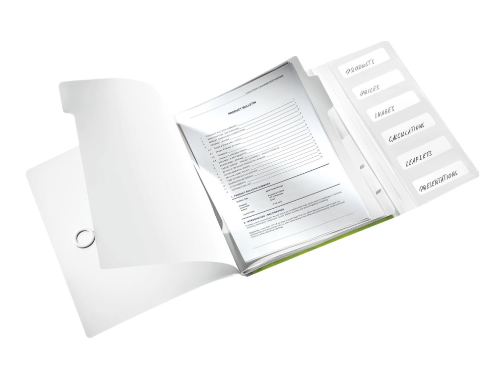 Leitz WOW - Klassificeringsmappe - 6 rum - 6 dele - for A4 (210 x 297 mm) - kapacitet: 200 ark - med faneblade - metalgrøn