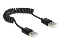Delock - Usb-Kabel - Usb (Han) Til Usb (Han) - Usb 2.0 - 60 Cm - Snoet - Sort