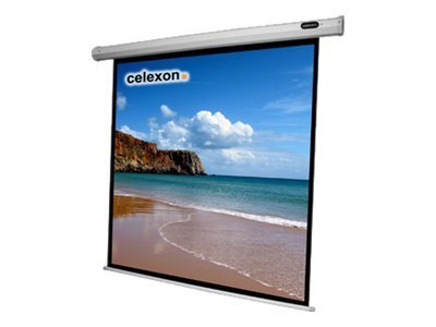 Celexon Economy electric screen - Projektorduk - takmontering, väggmontering - motoriserad - 118 (300 cm) - 4:3