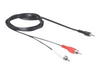 Delock 3.5Mm/2 X Rca, 3.5Mm, Männlich, 2 X Rca, Männlich, 5 M, Schwarz