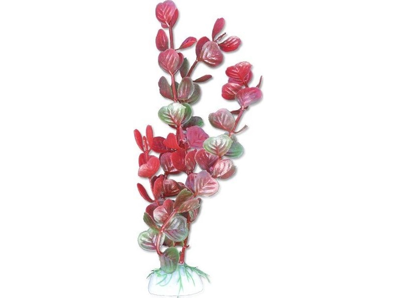 Happet Roślina blister 20cm 2b53 Happet