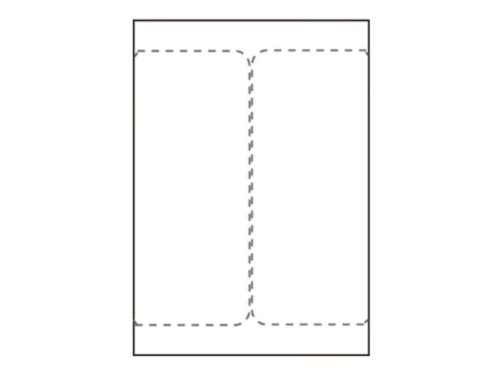 Capture - Permanent klæbemiddel - hvid - 105 x 220 mm 1000 etikette(r) (500 ark x 2) shipping etiketter