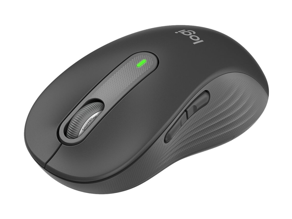 Logitech Signature M650 L - Mus - stor størrelse - optisk - 5 knapper - trådløs - 2.4 GHz, Bluetooth - Logitech Logi Bolt USB-mottaker - grafitt