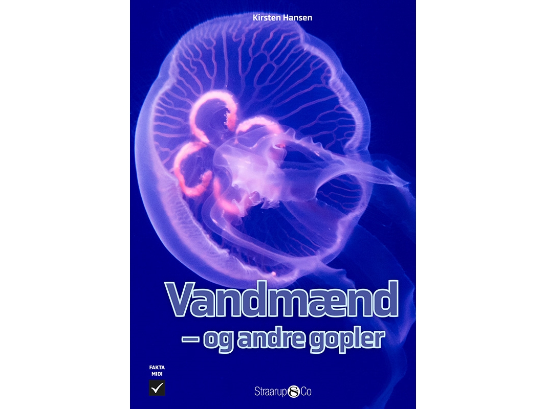 Vandmænd | Kirsten Hansen