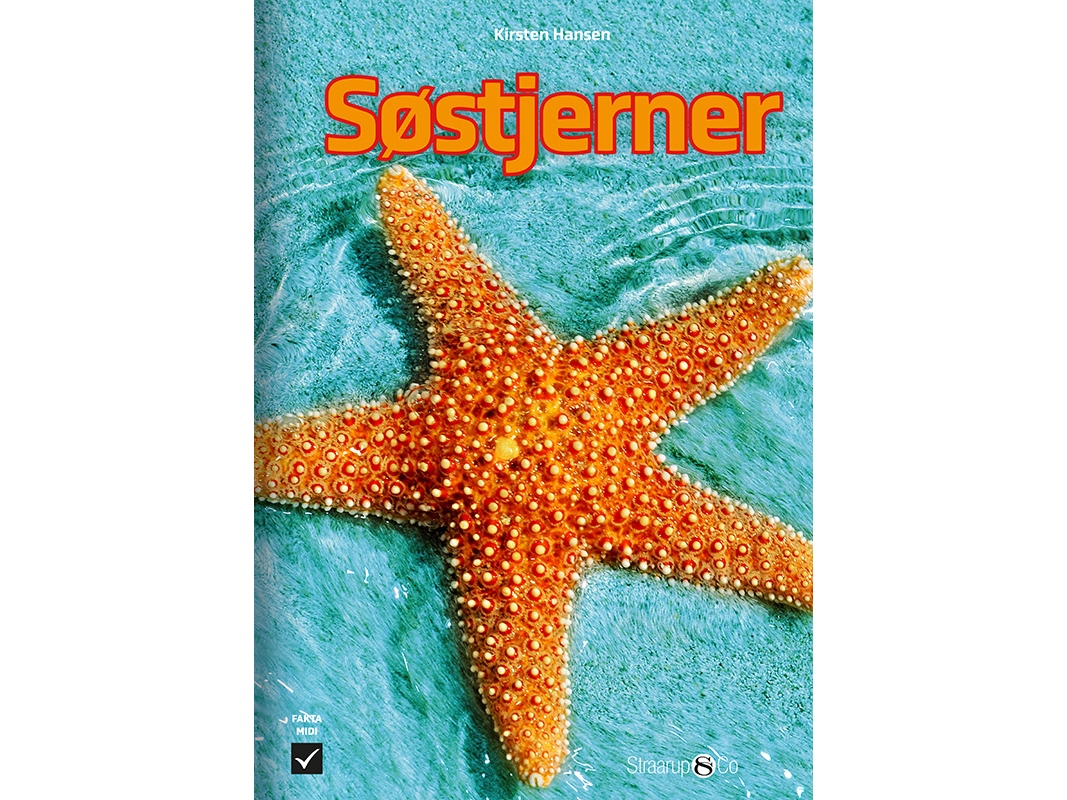 Søstjerner | Kirsten Hansen